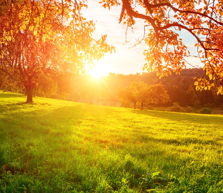 Photovoltaik- & Solaranlagen München umweltschutz durch Photovoltaik und Solar muenchen 900x778 1 - Photovoltaik- & Solaranlagen München