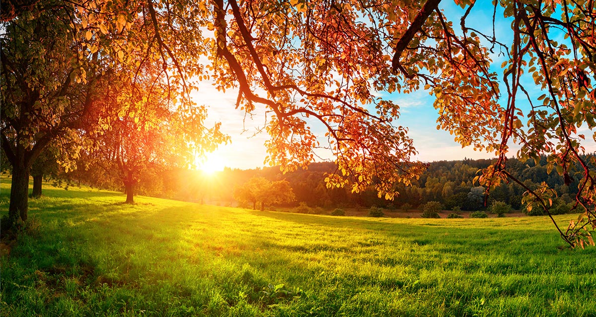 Umweltschutz Photovoltaik und Solar Muenchen Bayern - Umweltschutz